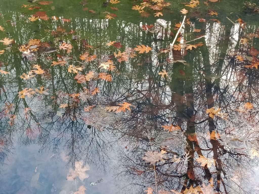 fall on the water